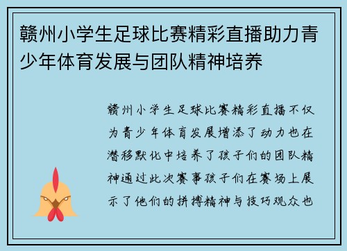 赣州小学生足球比赛精彩直播助力青少年体育发展与团队精神培养